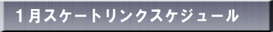 １月スケートリンクスケジュール